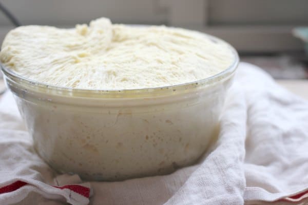 yeast dough proofing