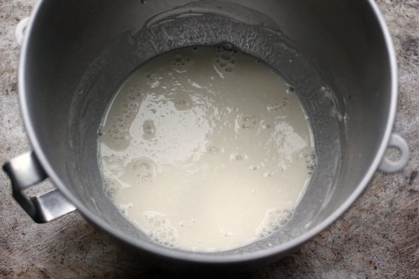 Sponge (preferment) before mixing the rest of the dough