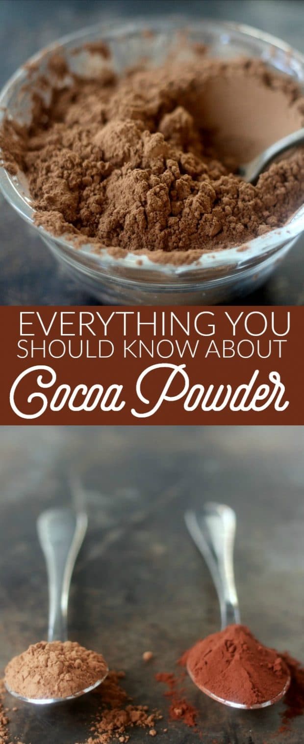 While cocoa powder is a very common baking ingredient, the science of cocoa powder is often overlooked. For exceptional results, it is important to be aware of the various kinds of cocoa powder and to know how each type is used most successfully in baking.